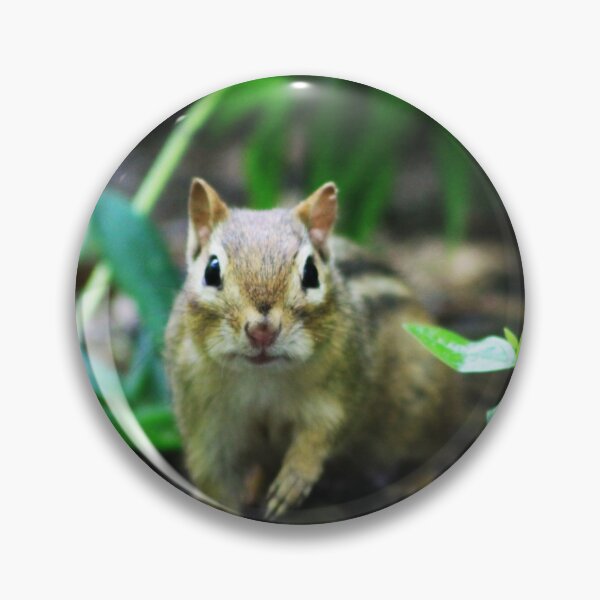 Item preview, Squirrel! designed and sold by Alyce Taylor.
