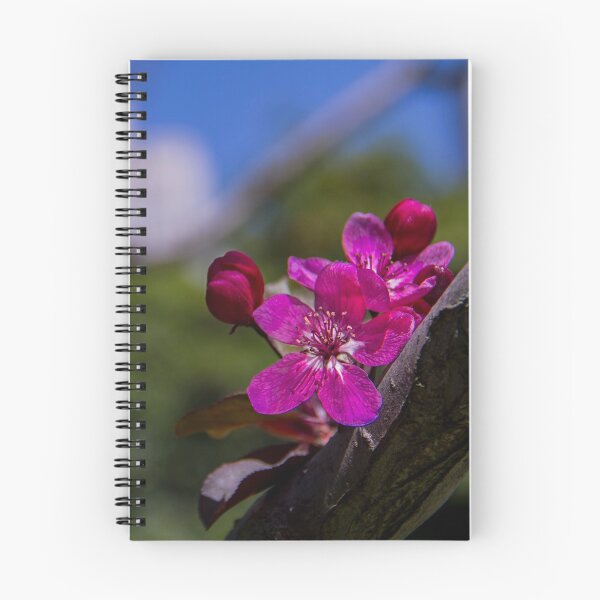 Item preview, Cherry Blossom with City Skyline In the Background designed and sold by SvetlanaSF.