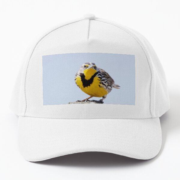 Western Meadowlark on a Post Baseball Cap