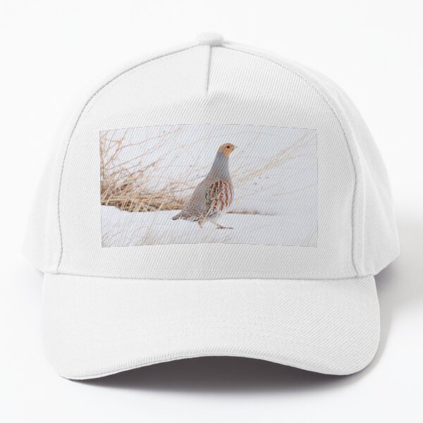 Grey Partridge Baseball Cap