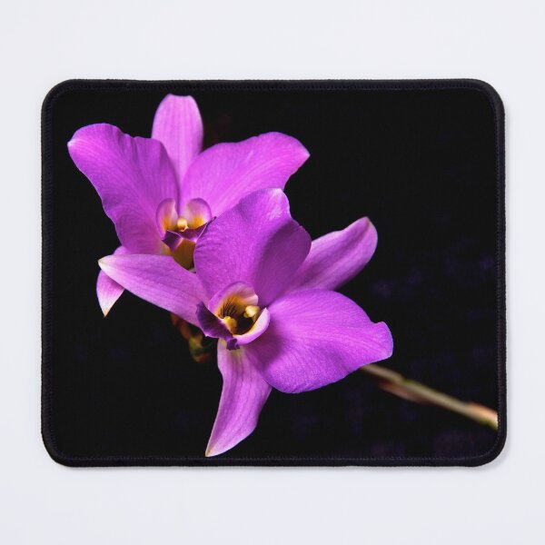 Item preview, Dendrobium Orchid designed and sold by SvetlanaSF.