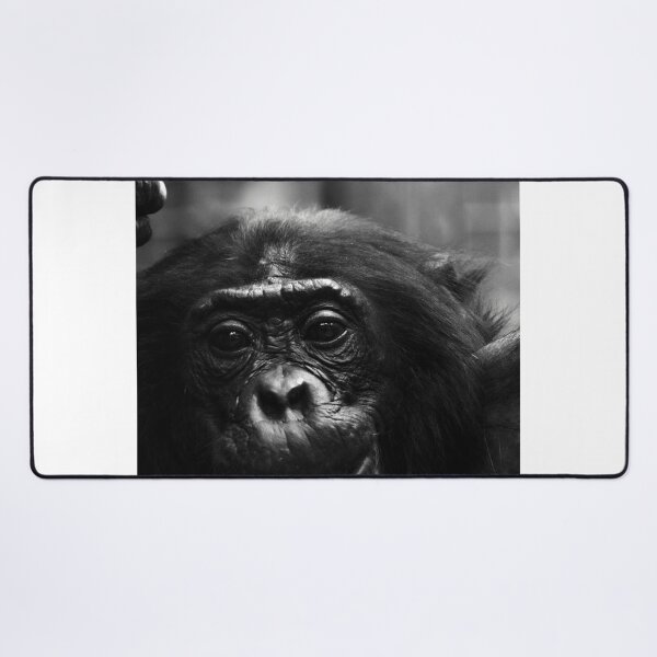 Item preview, gorilla photo with high resolution quality designed and sold by Allyouneed-2.