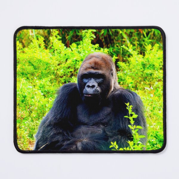 Item preview, gorilla photo with high resolution quality designed and sold by Allyouneed-2.