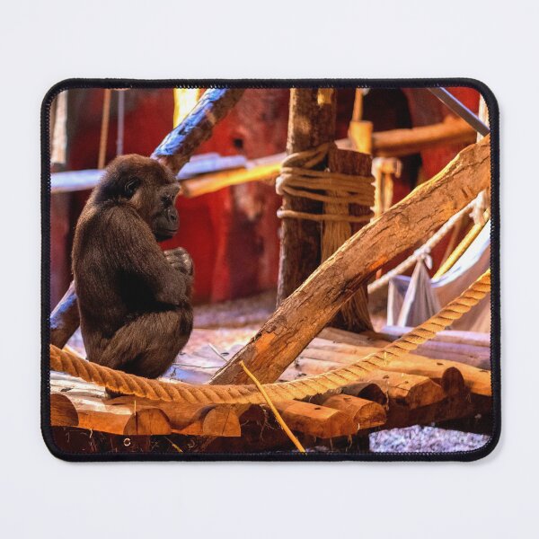 Item preview, gorilla photo with high resolution quality designed and sold by Allyouneed-2.