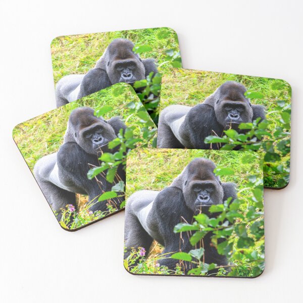 Item preview, gorilla photo with high resolution quality designed and sold by Allyouneed-2.
