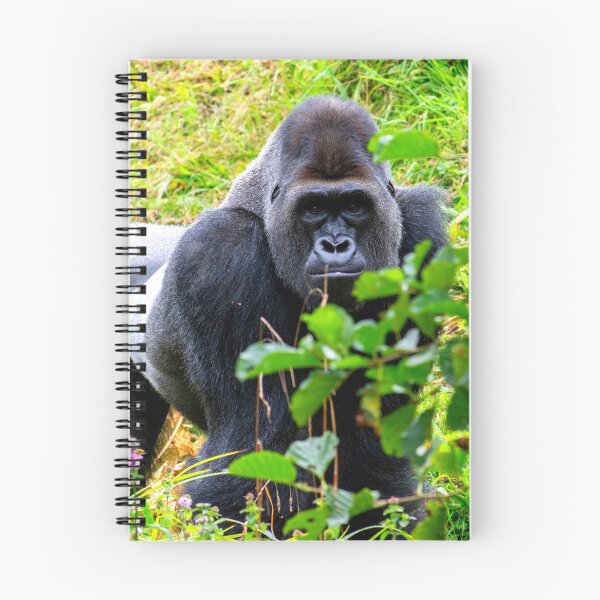 Item preview, gorilla photo with high resolution quality designed and sold by Allyouneed-2.