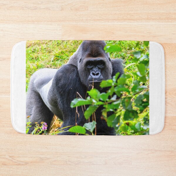 Item preview, gorilla photo with high resolution quality designed and sold by Allyouneed-2.