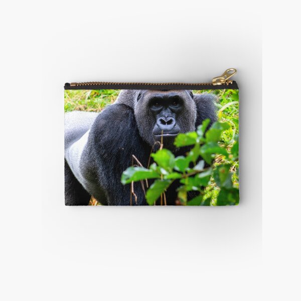Item preview, gorilla photo with high resolution quality designed and sold by Allyouneed-2.