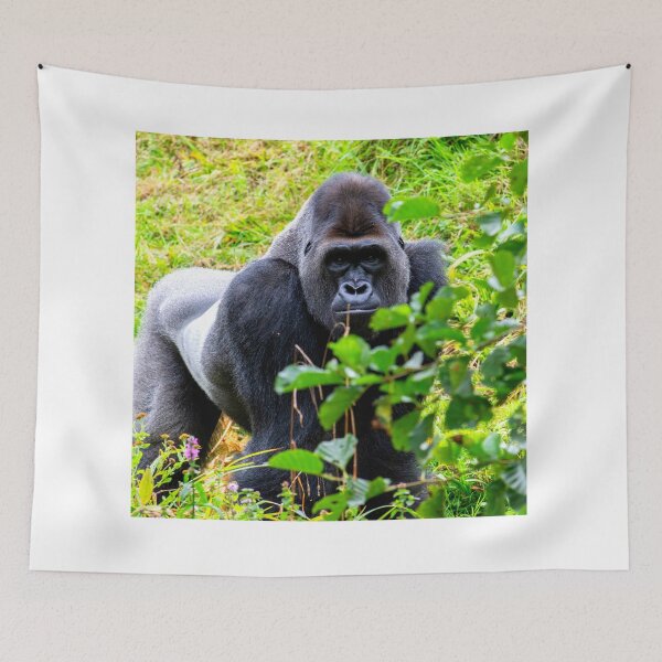 Item preview, gorilla photo with high resolution quality designed and sold by Allyouneed-2.