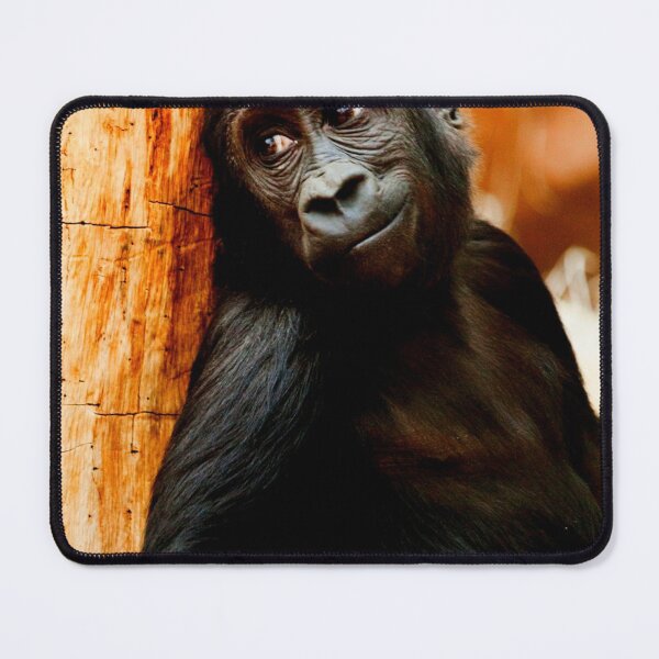 Item preview, gorilla photo with high resolution quality designed and sold by Allyouneed-2.