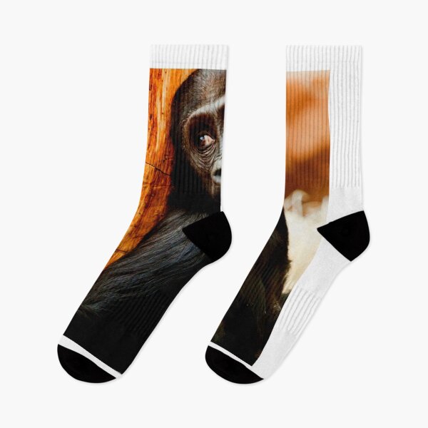 Item preview, gorilla photo with high resolution quality designed and sold by Allyouneed-2.