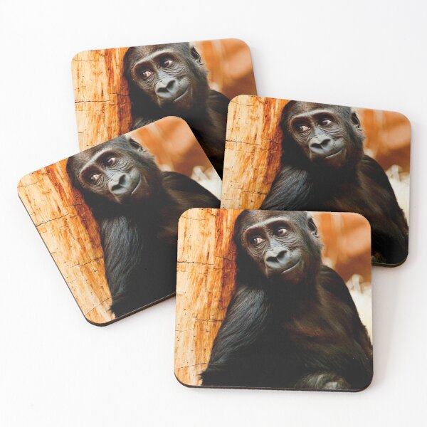 Item preview, gorilla photo with high resolution quality designed and sold by Allyouneed-2.