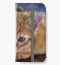 cement iPhone Wallet/Case/Skin