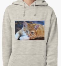 cement Pullover Hoodie