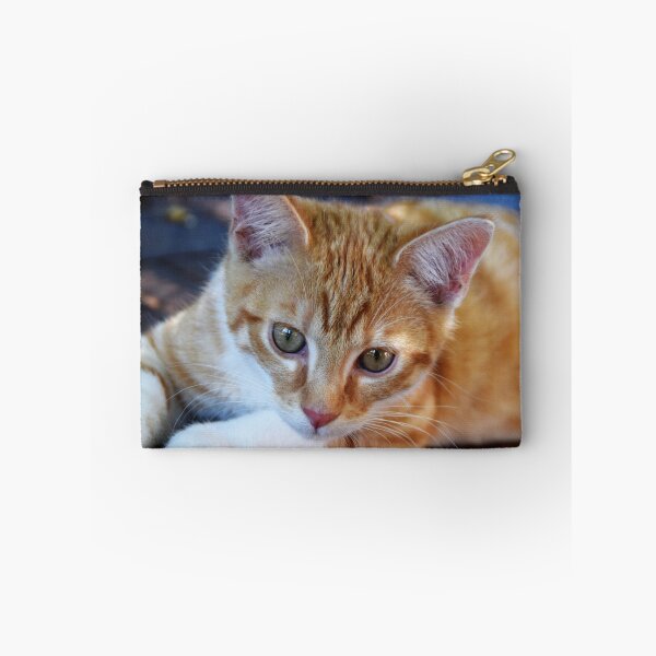 Item preview, cement designed and sold by Ianua.