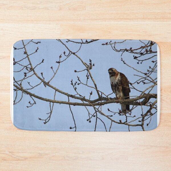 Item preview, Juvenile Borealis Red-Tailed Hawk designed and sold by Alyce Taylor.