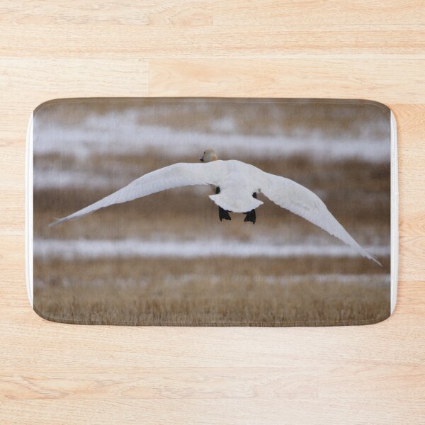 Artikelvorschau, Tundra Swan im Flug entworfen und verkauft von Alyce Taylor.
