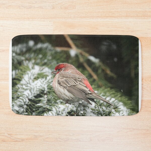 Item preview, Bright Red House Finch designed and sold by Alyce Taylor.