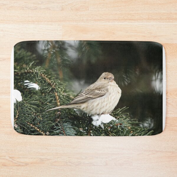 Item preview, Female House Finch on Snow designed and sold by Alyce Taylor.