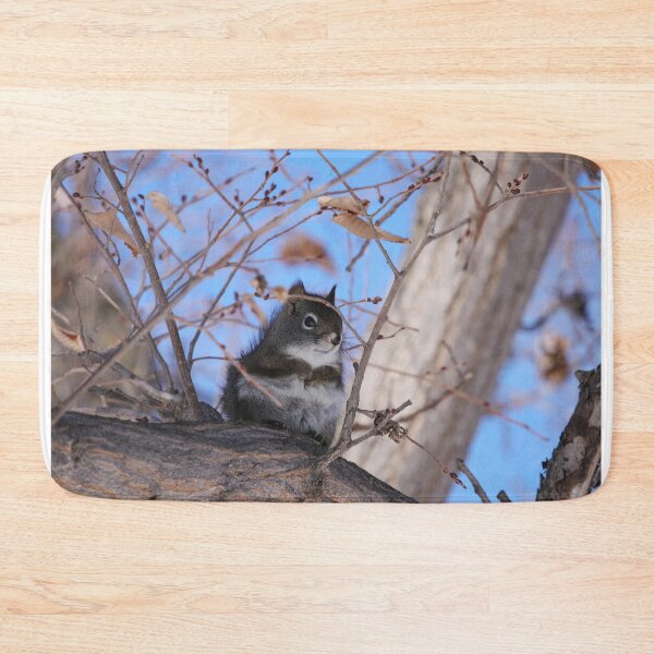 Item preview, American Red Squirrel designed and sold by Alyce Taylor.