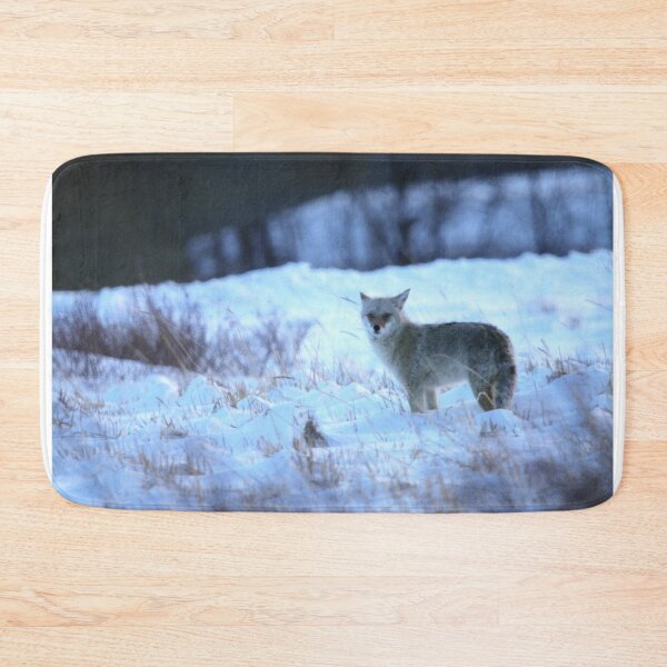Item preview, Coyote at Dusk designed and sold by Alyce Taylor.