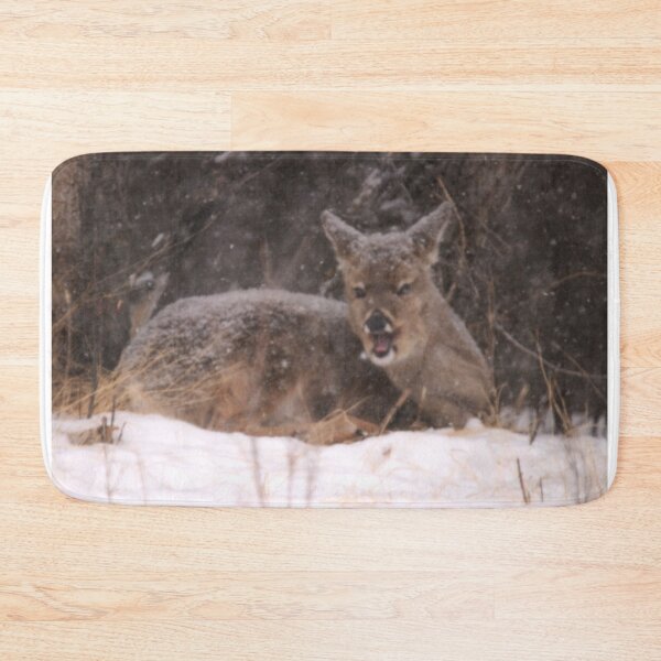Item preview, Hey!!  No Pictures!! designed and sold by Alyce Taylor.