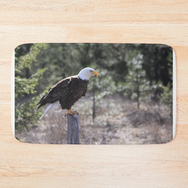 Item preview, Needing a Bigger Perch designed and sold by Alyce Taylor.