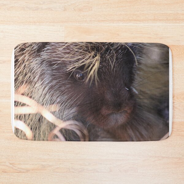 Item preview, In The Eyes of a Porcupine designed and sold by Alyce Taylor.