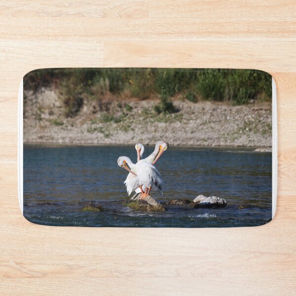Item preview, The Three Headed Pelican designed and sold by Alyce Taylor.