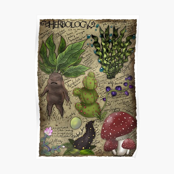 "Study Notes Herbology" Poster for Sale by Camiiie4 Redbubble