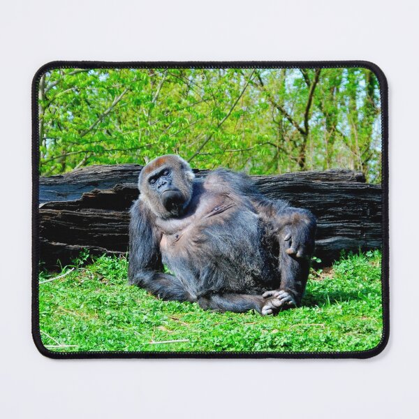 Item preview, gorilla photo with high resolution quality designed and sold by Allyouneed-2.