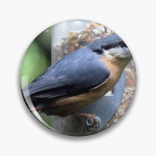Item preview, nuthatch designed and sold by KathleenDawson.