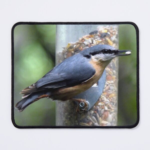 Item preview, nuthatch designed and sold by KathleenDawson.