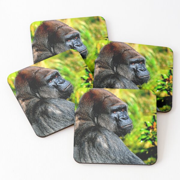 Item preview, gorilla photo with high resolution quality designed and sold by Allyouneed-2.