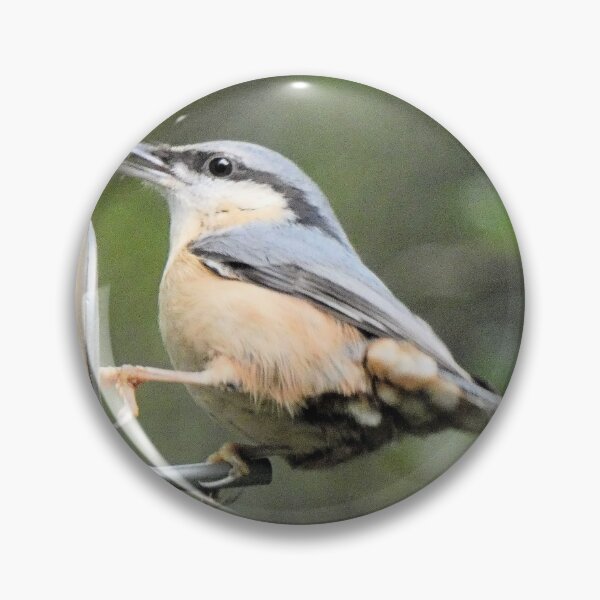 Item preview, nuthatch designed and sold by KathleenDawson.