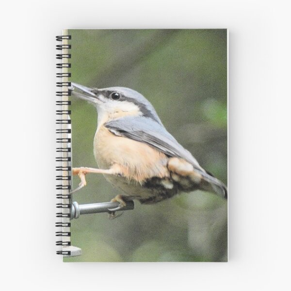 Item preview, nuthatch designed and sold by KathleenDawson.
