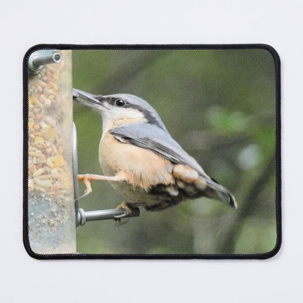 Item preview, nuthatch designed and sold by KathleenDawson.