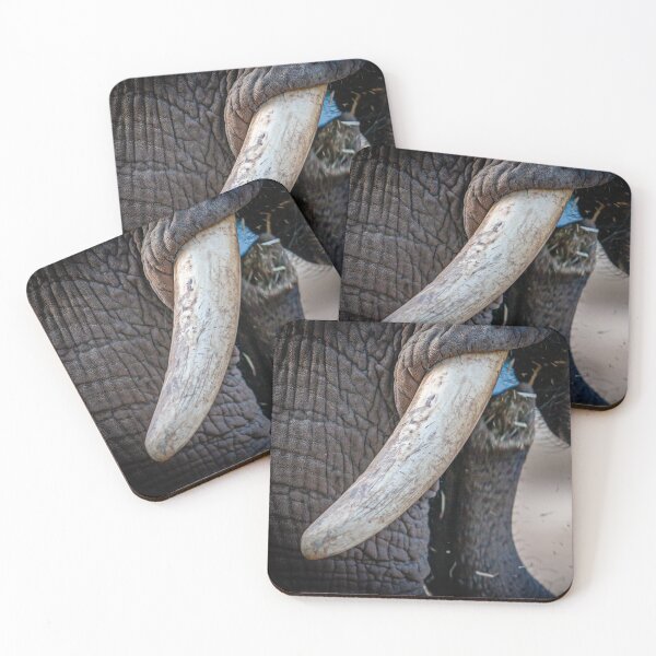 Item preview, Trunk Call designed and sold by Dalyndigital Photography.