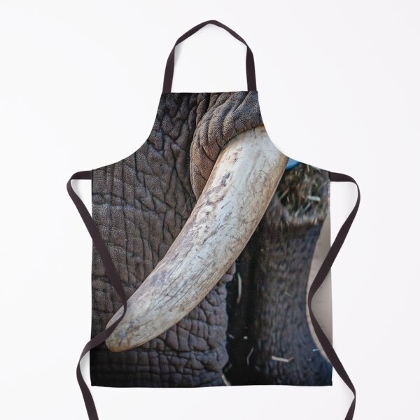 Item preview, Trunk Call designed and sold by Dalyndigital Photography.