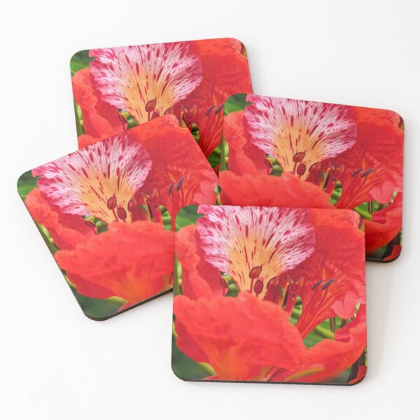 Item preview, Flame Flower designed and sold by emilyselberg.