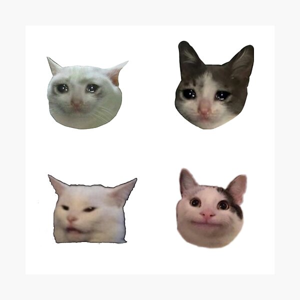 Impressions Photo Sur Le Theme Meme De Chat Triste Redbubble