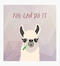 A whole Llama faith Photographic Print