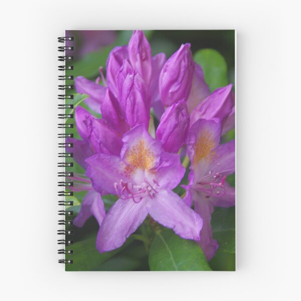 Item preview, Wild Rhododendrun Just Breaking Its Buds. designed and sold by lezvee.