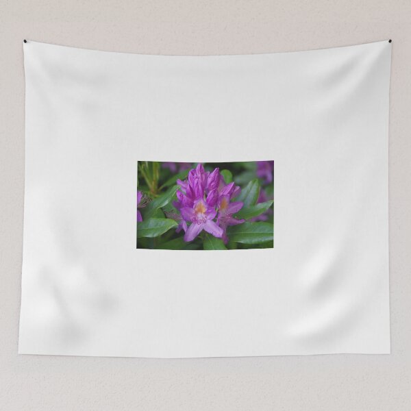 Item preview, Wild Rhododendrun Just Breaking Its Buds. designed and sold by lezvee.