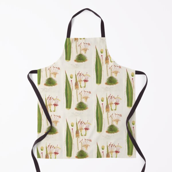 Item preview, Agave filifera and its flower - Botanical Illustration designed and sold by chimakingthings.
