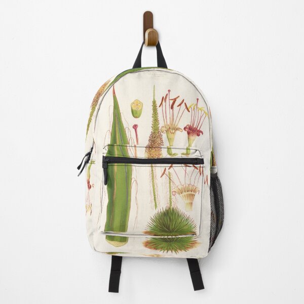 Item preview, Agave filifera and its flower - Botanical Illustration designed and sold by chimakingthings.