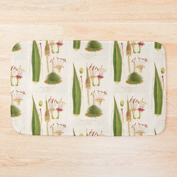 Item preview, Agave filifera and its flower - Botanical Illustration designed and sold by chimakingthings.