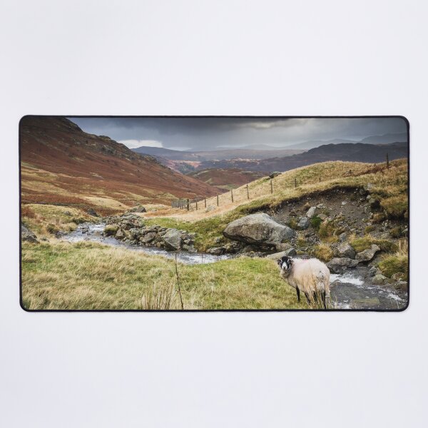 Aperçu de l'œuvre Borrowdale Valley in the Lake District créée et vendue par heidipics.