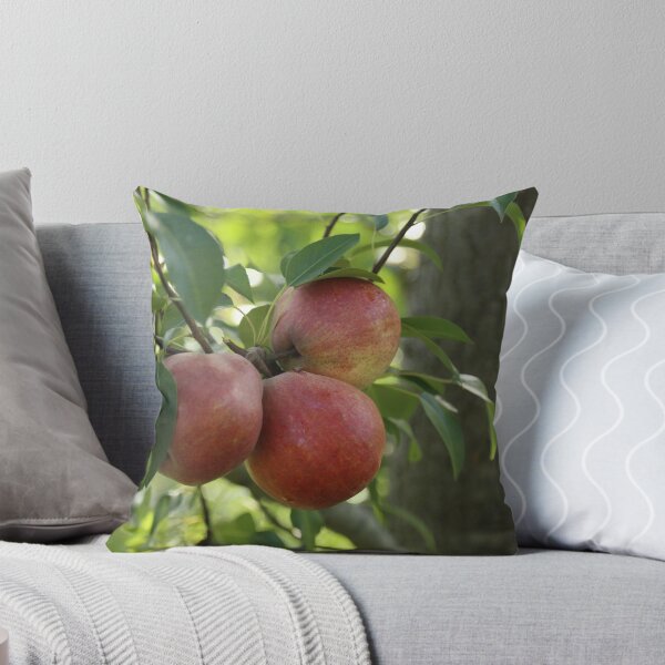 Item preview, A Pear or a Trio designed and sold by Stuart Daddow Photography.