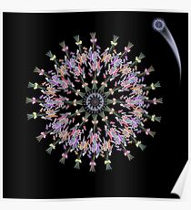 Planetary Flowers Poster